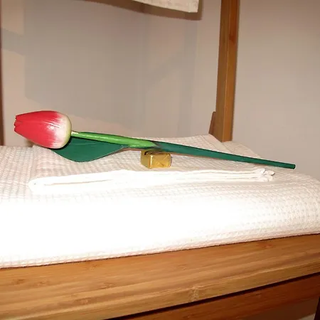 Ca' Tintor Apartmán Benátky